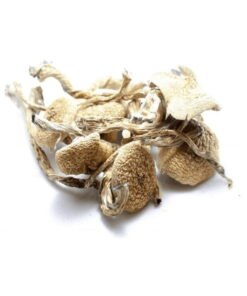 Kup PES Amazonian – Najsilniejsze Grzyby Halucynogenne