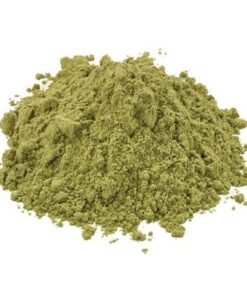 Kup San Pedro – Kaktus San Pedro (Echinopsis pachanoi)